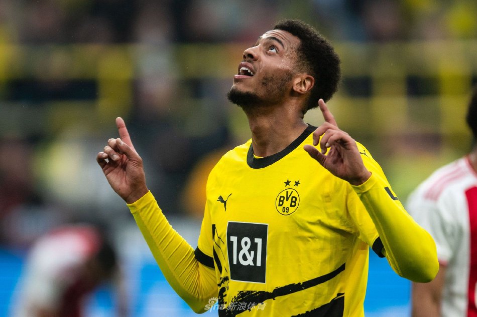 的体育部门 的体育部门