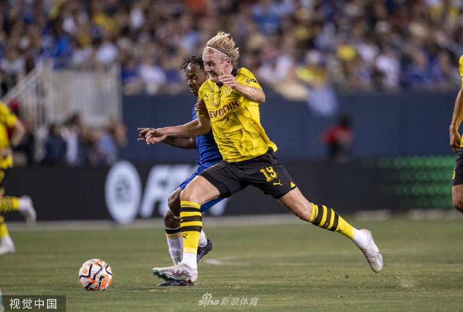 篮球水平的 篮球水平的